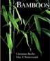 Bamboos_Recht