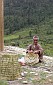 basket making
