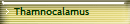 Thamnocalamus