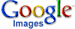 search Google for Phyllostachys images